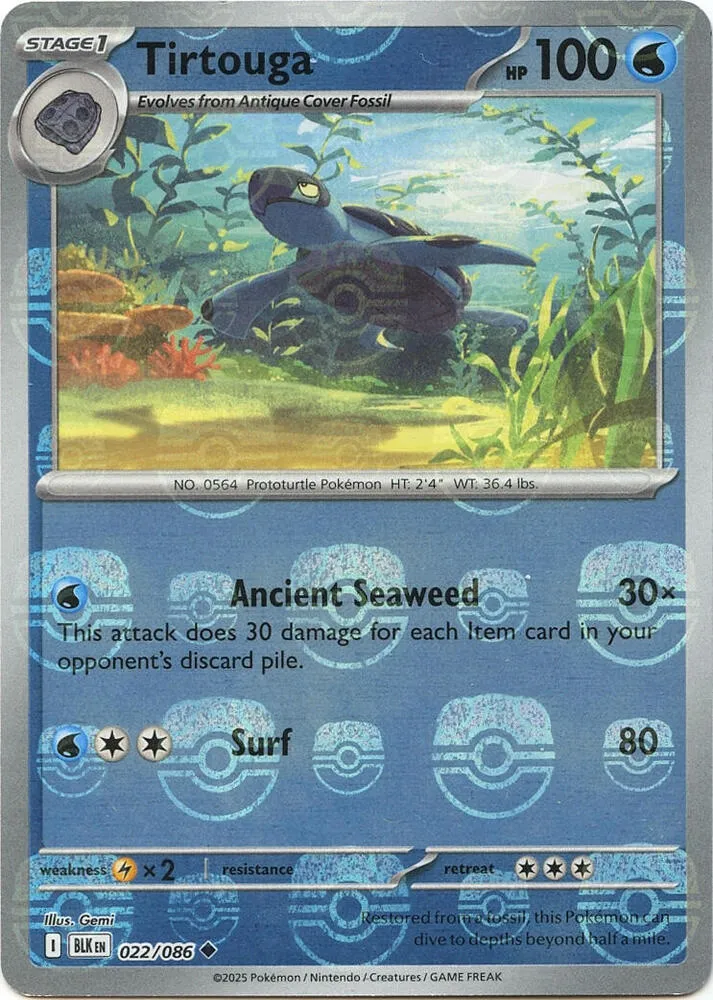 Tirtouga — SV: Black Bolt — Pokémon