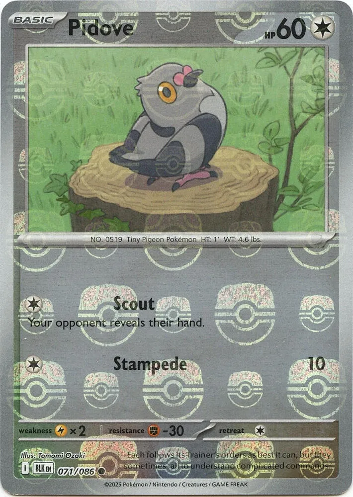 Pidove — SV: Black Bolt — Pokémon