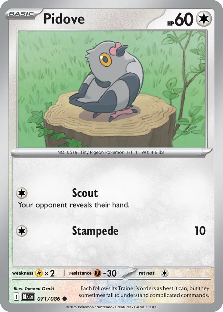Pidove — SV: Black Bolt — Pokémon