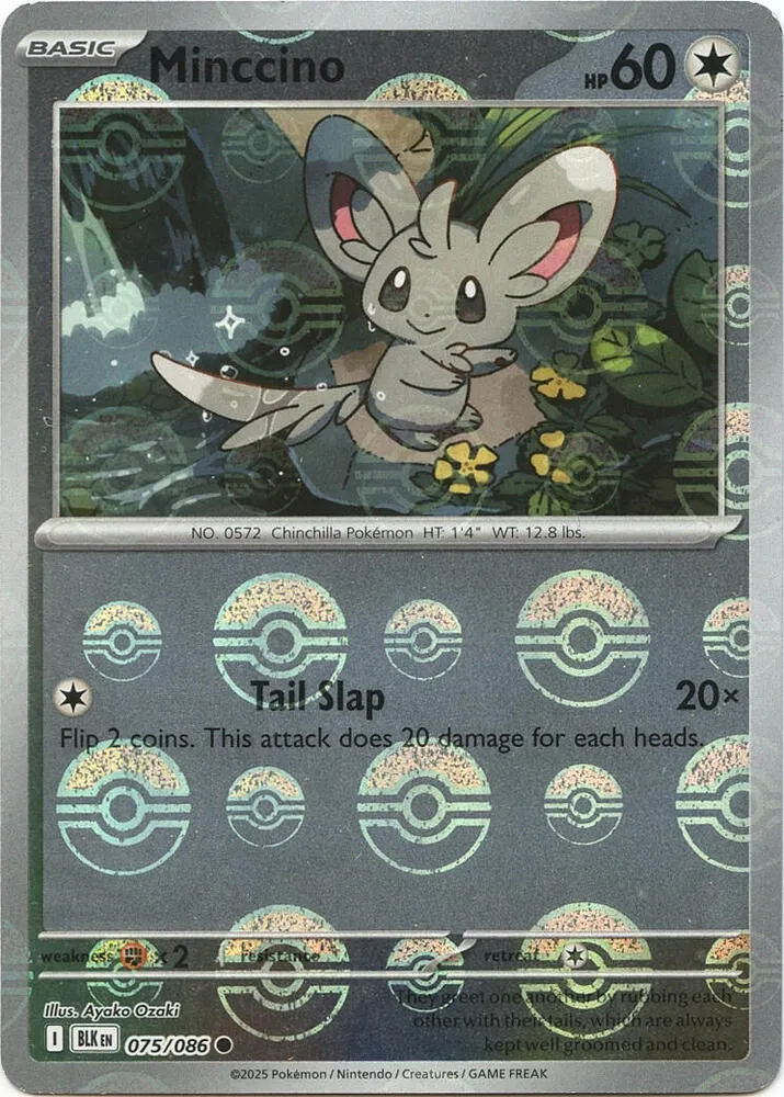 Minccino — SV: Black Bolt — Pokémon