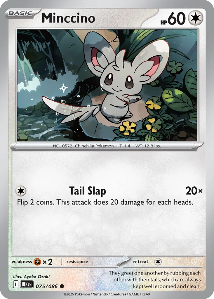 Minccino — SV: Black Bolt — Pokémon