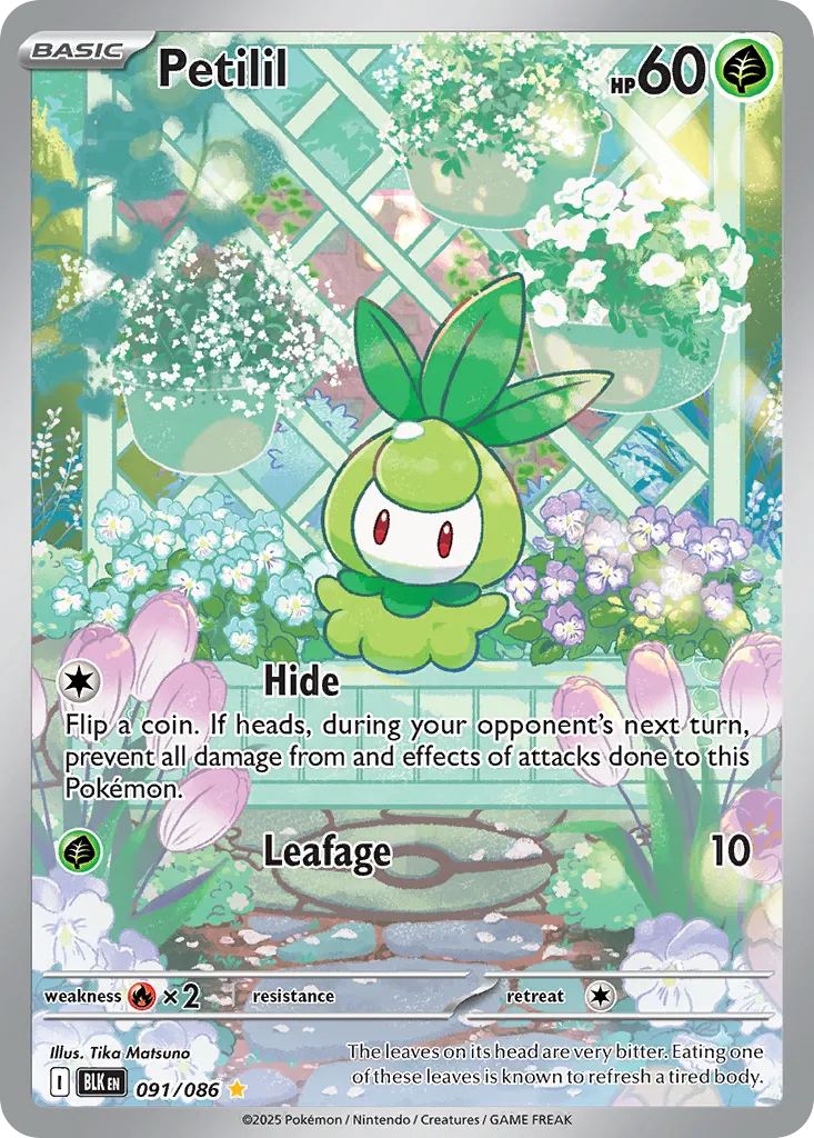Chlorobule from SV: Black Bolt - Pokemon