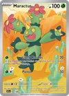 Product image for Maractus