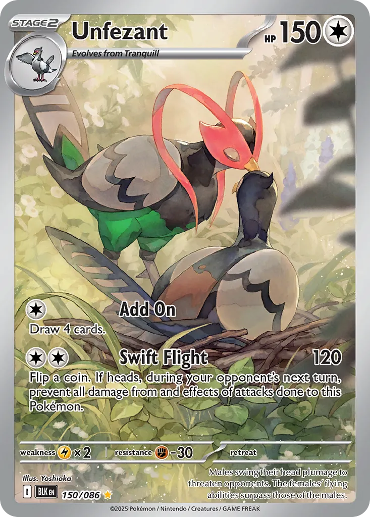 Unfezant — SV: Black Bolt — Pokémon