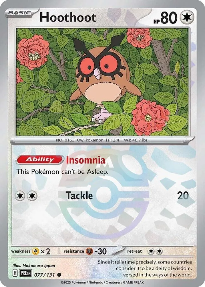 Hoothoot — SV: Prismatic Evolutions — Pokemon