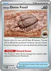 Product image for Antique Dome Fossil