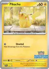 Product image for Pikachu