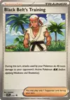 Product image for Black Belt's Training