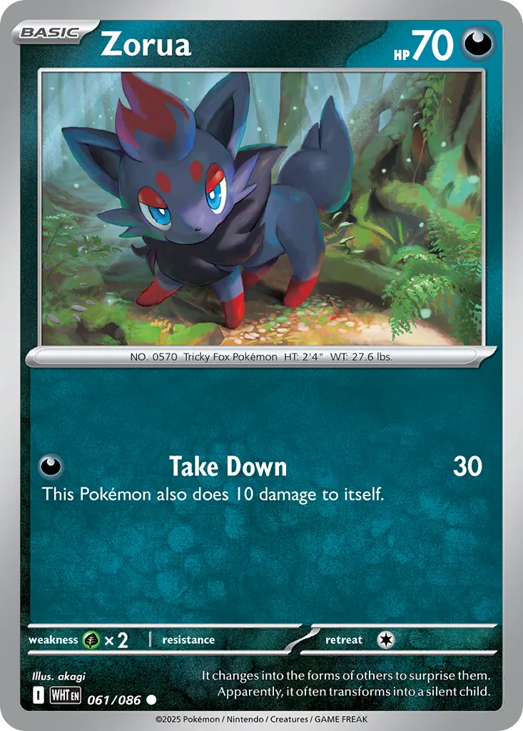 Zorua — SV: White Flare — Pokémon