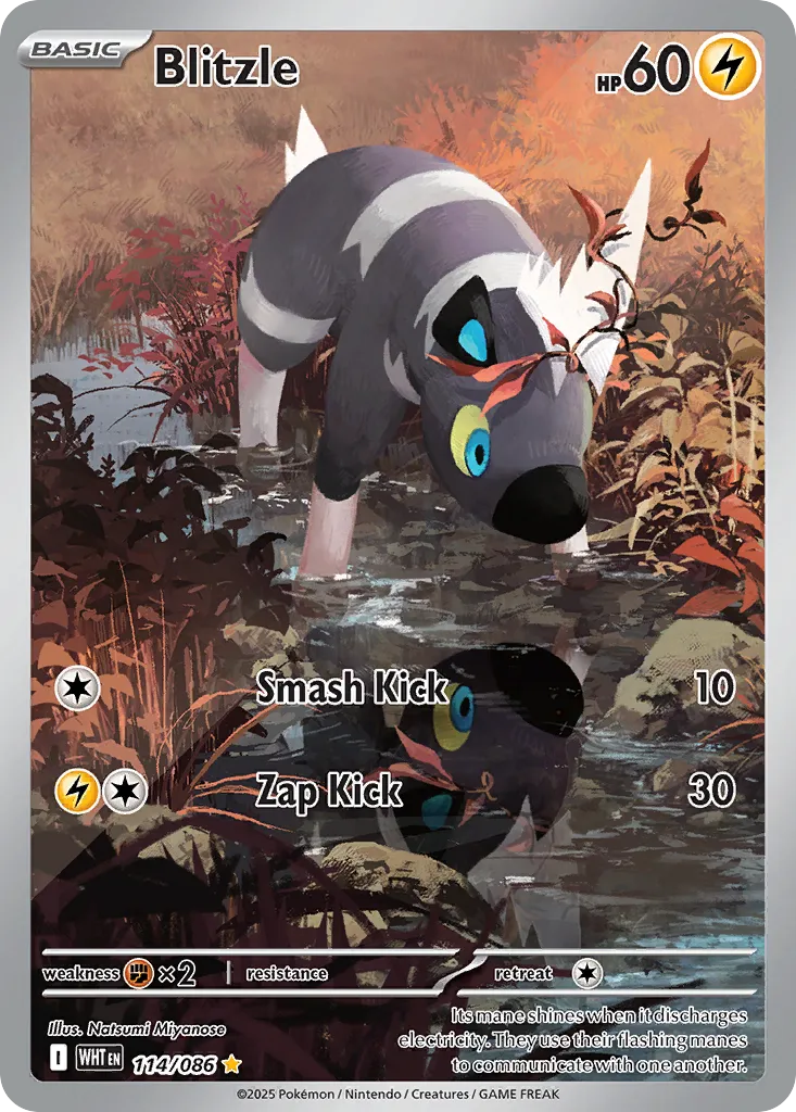 Zébibron — SV: White Flare — Pokémon