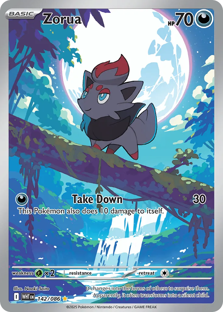 Zorua — SV: White Flare — Pokémon