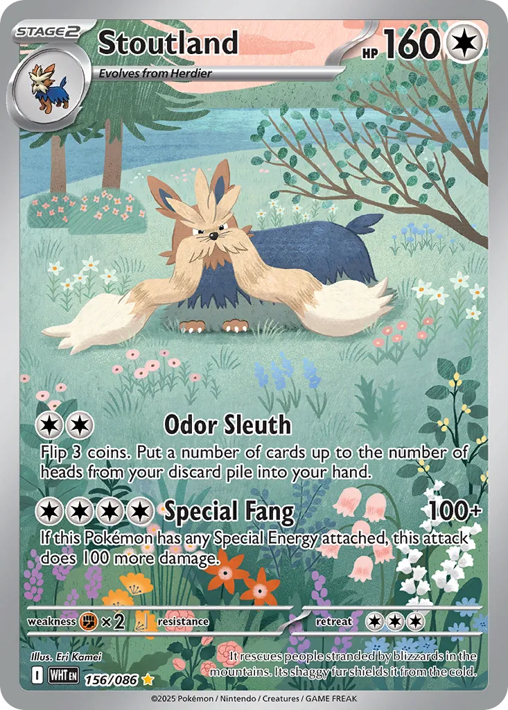 Stoutland — SV: White Flare — Pokemon