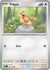 Product image for Pidgey