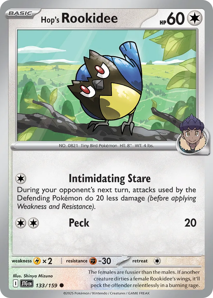 Hop's Rookidee from SV09: Journey Together - Pokemon