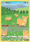 Product image for Ditto