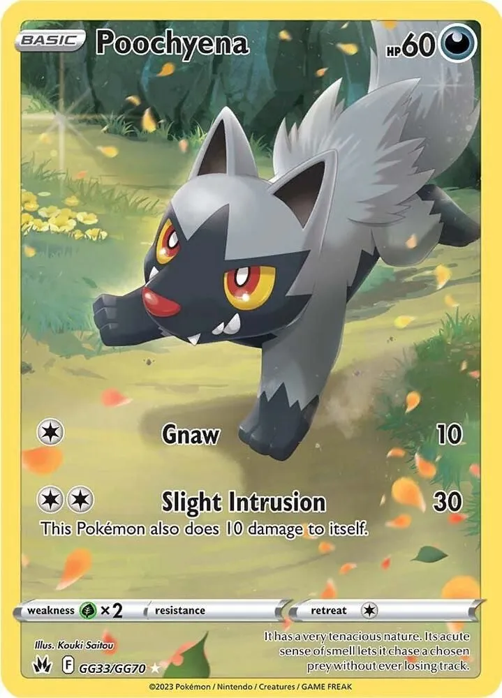 Poochyena — SWSH: Crown Zenith: Galarian Gallery — Pokémon
