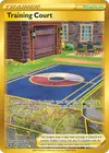 Product image for Training Court