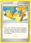 Product image for Tropical Winds