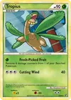 Product image for Tropius