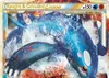 Product image for Kyogre & Groudon Legend