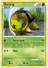 Product image for Turtwig