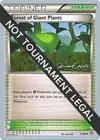 Product image for Forest of Giant Plants