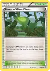 Product image for Forest of Giant Plants