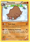 Product image for Piloswine