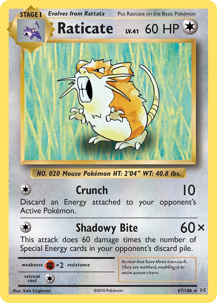 Raticate — XY - Evolutions — Pokémon
