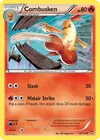 Product image for Combusken