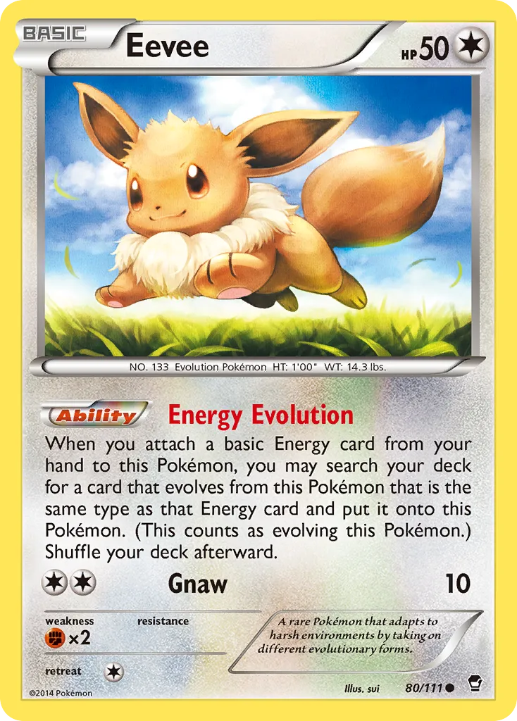 Eevee — XY - Furious Fists — Pokémon