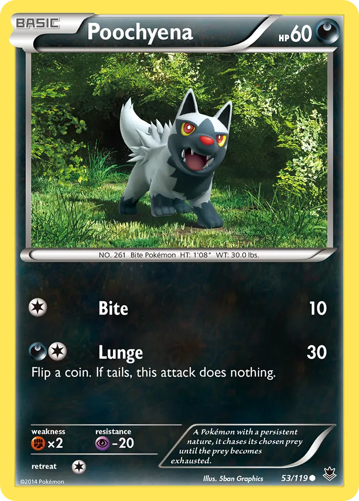 Poochyena — XY - Phantom Forces — Pokémon