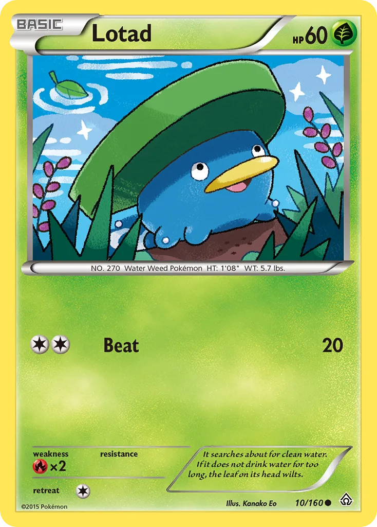 Lotad — XY - Primal Clash — Pokémon