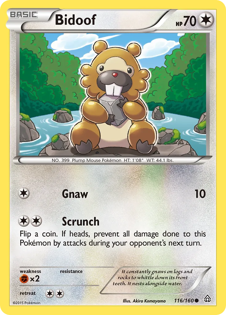 Bidoof — XY - Primal Clash — Pokemon