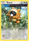 Product image for Bidoof