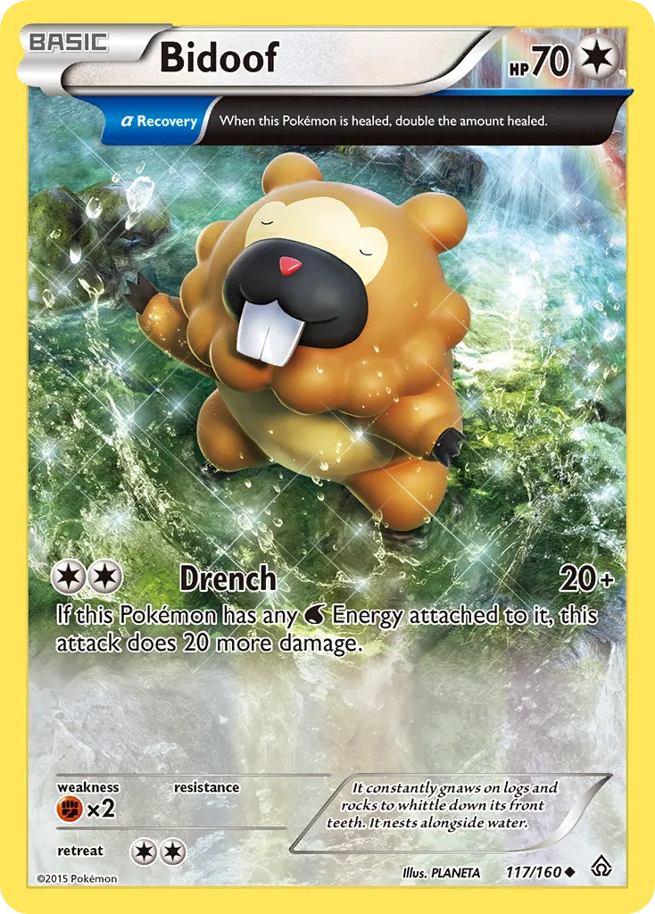Bidoof — XY - Primal Clash — Pokemon