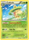 Product image for Ludicolo