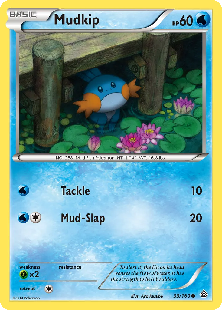 Mudkip — XY - Primal Clash — Pokemon