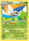 Product image for Ninjask