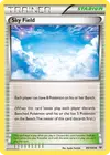Product image for Sky Field