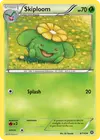 Product image for Skiploom