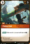 Product image for Pakaa Cub