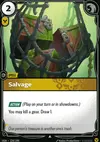 Product image for Salvage