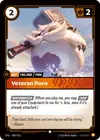 Product image for Veteran Poro
