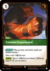 Product image for Combat Experience