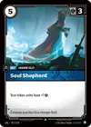 Product image for Soul Shepherd
