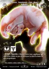 Product image for Miel