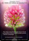 Product image for Fleur Du Trèfle De Lumière