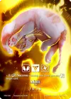 Product image for Miel