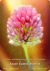 Product image for Light Clover Flower